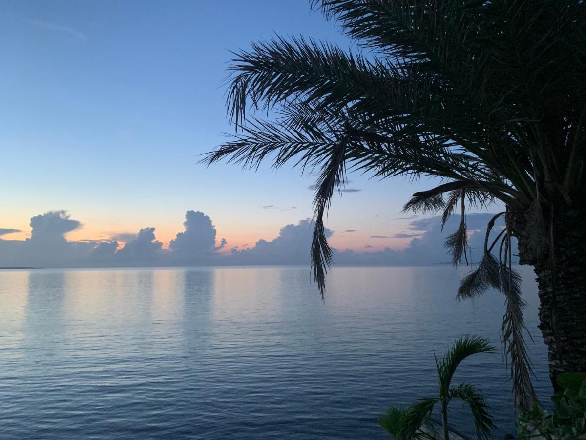 Villa Sha - Cancun Luxury Beachfront المظهر الخارجي الصورة